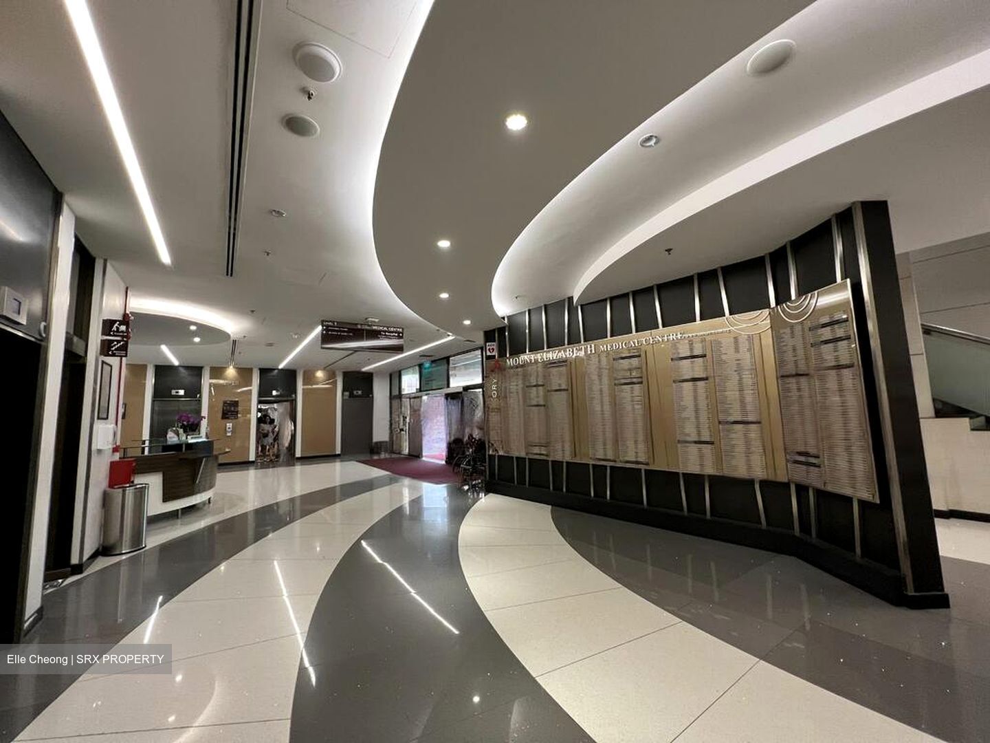 Mount Elizabeth Hospital (D9), Retail #454695651